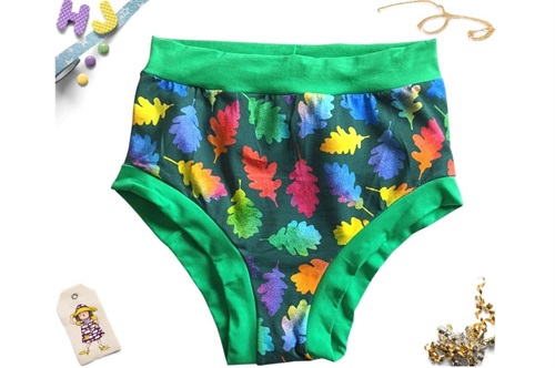 Buy L Briefs Rainbow Leaves now using this page